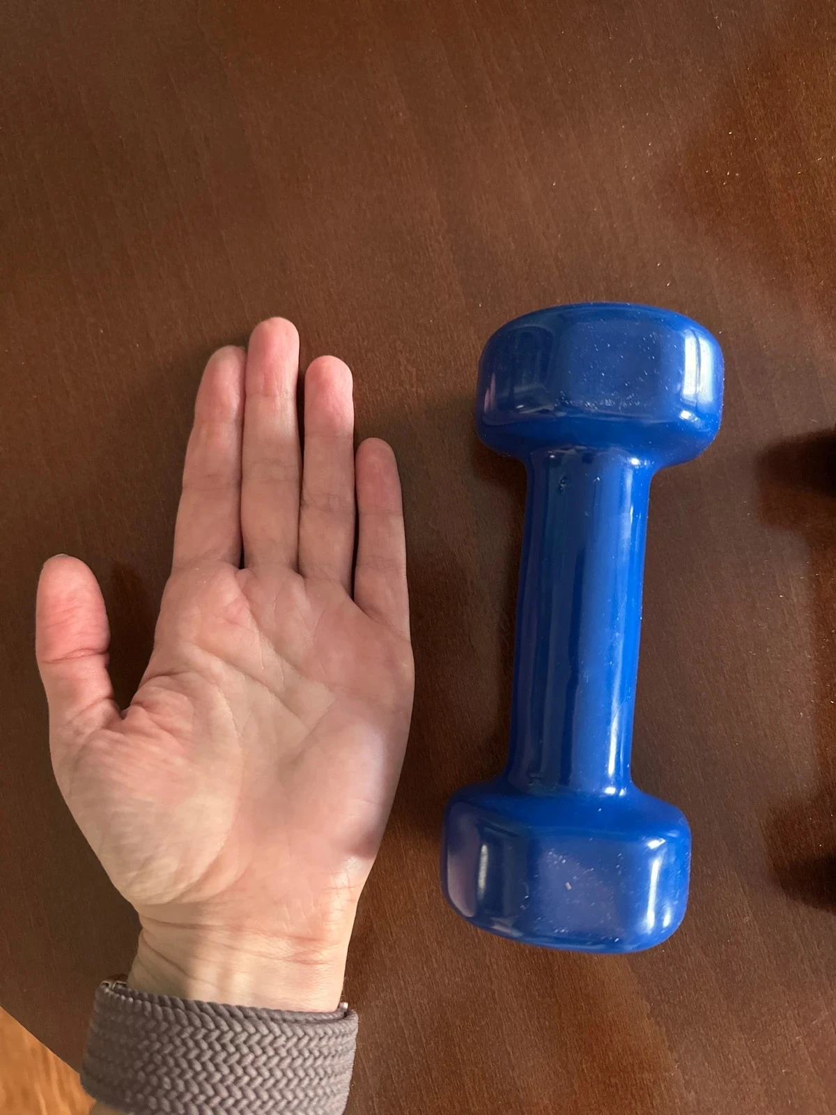 Salter Dumbbells – photo 4